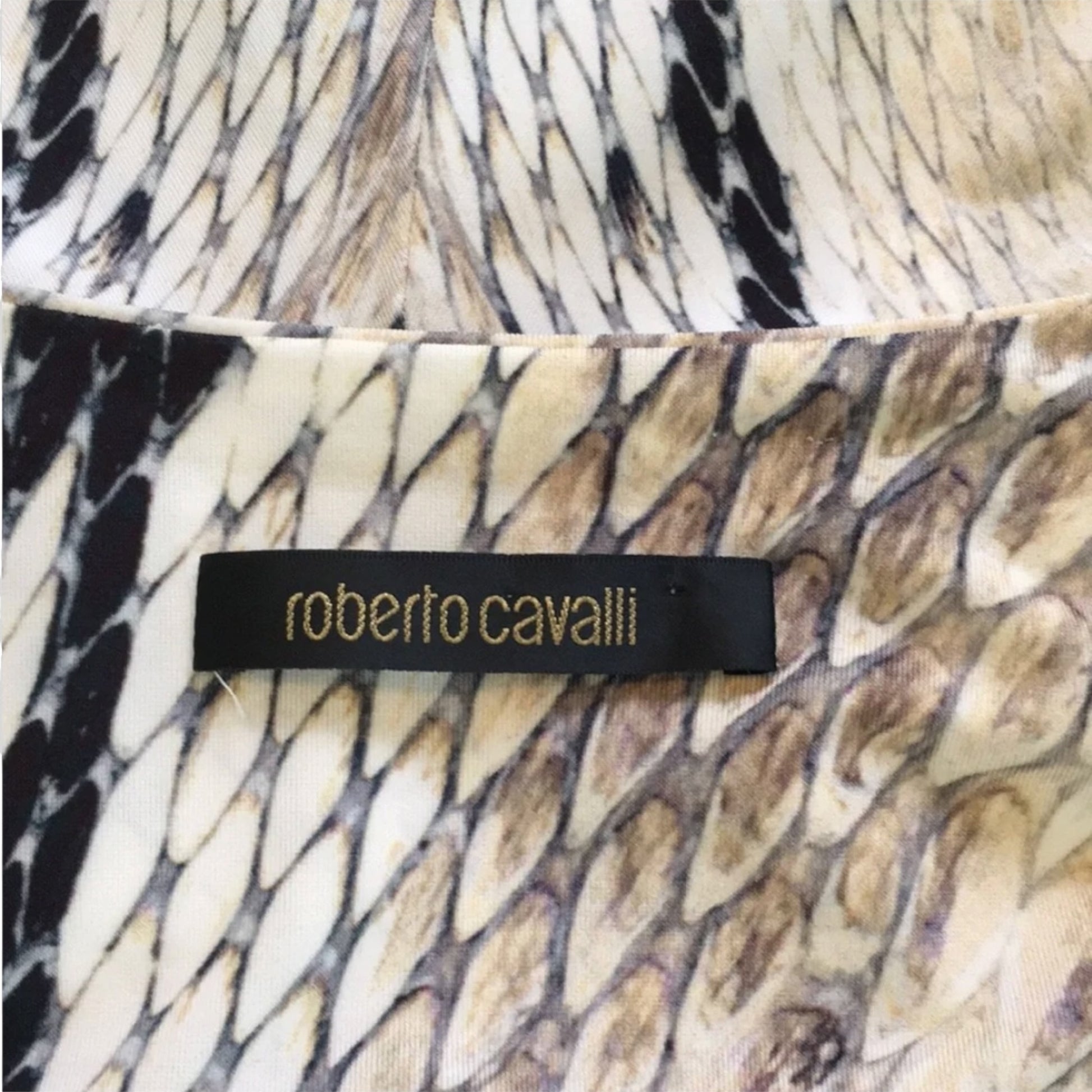 Roberto Cavalli snake print plunge top, fabric texture close-up